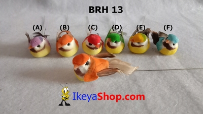 BRH 13 a  large2